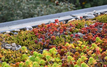 the cost of Foul Anchor green roof installation