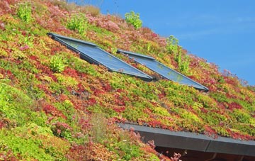 Foul Anchor living roof systems