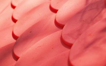 Foul Anchor plastic roof costs